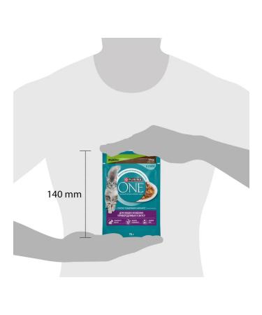 PURINA ONE Feed for cats wet with a pierced turkey duck 75 g 5 pcs - Buy Online on GoSupps.com
