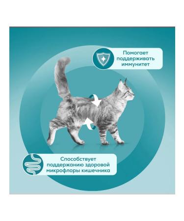 PURINA ONE Feed for cats wet with a pierced turkey duck 75 g 5 pcs - Buy Online on GoSupps.com