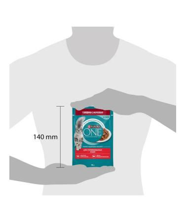 PURINA ONE Wet food for sterilized cats of beef 75 g 10 pcs - Buy Online on GoSupps.com