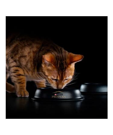 PRO PLAN Cat food for a humid sensitive turkey 85 g 10 pcs - Buy Online on GoSupps.com
