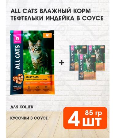 ALL CATS Wet feed for cats of a turkey turkey in sauce 85 g 4 pcs