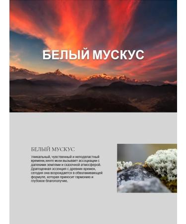 Tesori d'Oriente Shower Gel "White Musk" 250 ml - Buy Online on GoSupps.com