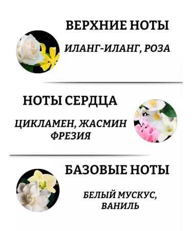 Tesori d'Oriente Shower Gel "White Musk" 250 ml - Buy Online on GoSupps.com