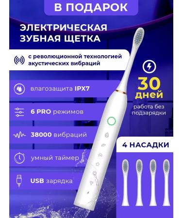 Kari Land Irrigator of the oral cavity appliances Household - Buy Online on GoSupps.com