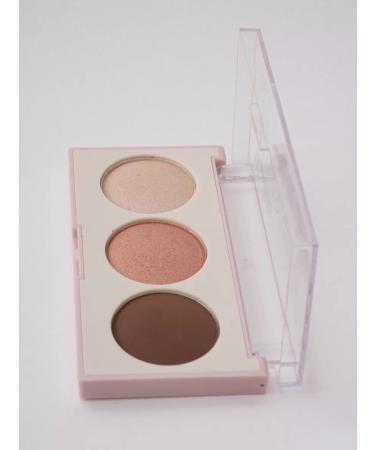 Petro cosmetics Palette Highlighter Contouring - Buy Online on GoSupps.com