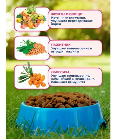 Pet's Brunch Dry food for dogs of small breeds with a turkey 1 kg - Buy Online on GoSupps.com