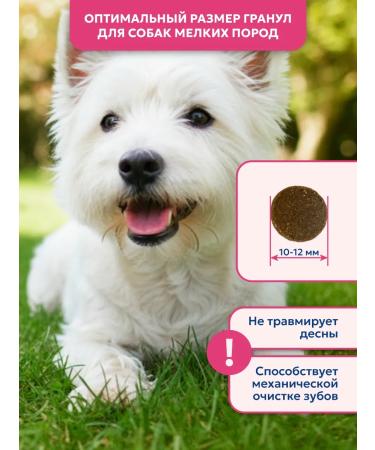 Pet's Brunch Dry food for dogs of small breeds with a turkey 1 kg - Buy Online on GoSupps.com