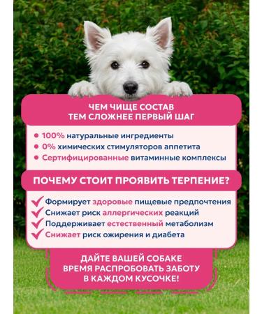 Pet's Brunch Dry food for dogs of small breeds with a turkey 1 kg - Buy Online on GoSupps.com