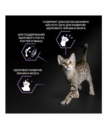 PRO PLAN Dry food for kittens kitten chicken 3 kg - Buy Online on GoSupps.com