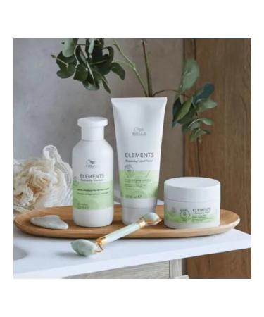 WELLA PROFESSIONALS Wella elements shampoo renewing 1000 ml - Buy Online on GoSupps.com