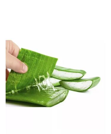 beauty luxe Universal indelible aloe gel - Buy Online on GoSupps.com