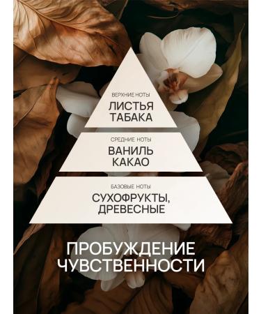 Aromance Cream Batter for Body Farm Tobacco & Vanil - Buy Online on GoSupps.com