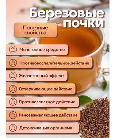 Altai Rost Birch buds 100 g - Buy Online on GoSupps.com