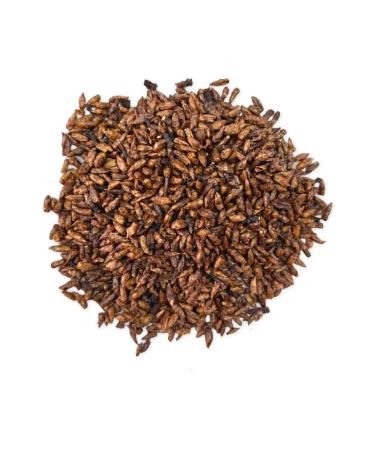 Altai Rost Birch buds 100 g - Buy Online on GoSupps.com