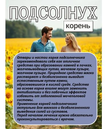 Altai Rost Sunflower root 200 gr - Buy Online on GoSupps.com