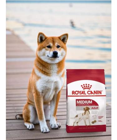 ROYAL CANIN Dry food Medium Adult for adult dogs of medium breeds 3kg - Buy Online on GoSupps.com