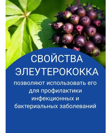 Spring of Health Vitamins for immunity with echinacea Biotic immunity - Buy Online on GoSupps.com