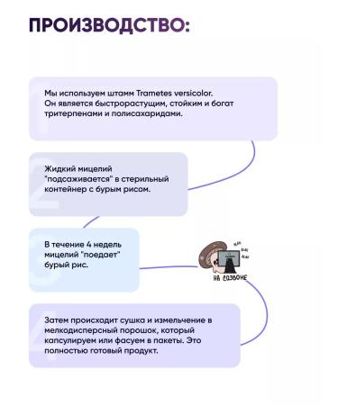 MycoFarm Fungi TRAMETES Multi -colored mycelium 100 grams - Buy Online on GoSupps.com