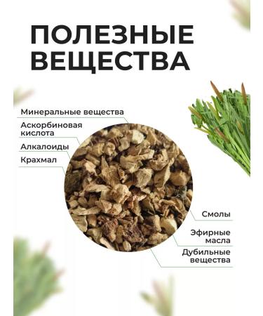 Summergreen Bog calamus - Buy Online on GoSupps.com