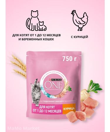 PURINA ONE Kittens of dry kittens with chicken 750 g