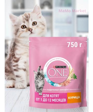 PURINA ONE Kittens of dry kittens with chicken 750 g - Buy Online on GoSupps.com