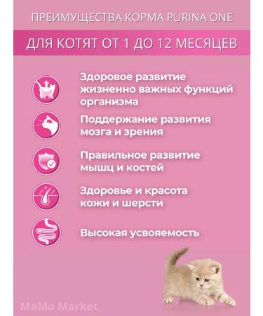 PURINA ONE Kittens of dry kittens with chicken 750 g - Buy Online on GoSupps.com