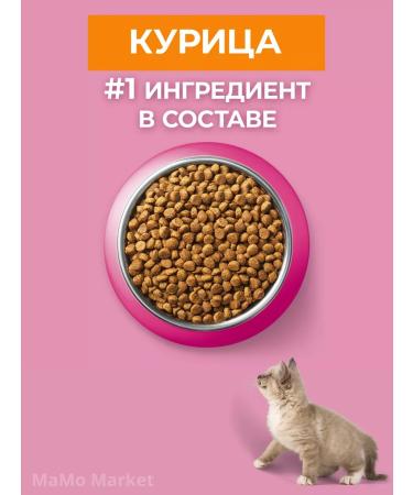 PURINA ONE Kittens of dry kittens with chicken 750 g - Buy Online on GoSupps.com