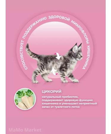 PURINA ONE Kittens of dry kittens with chicken 750 g - Buy Online on GoSupps.com