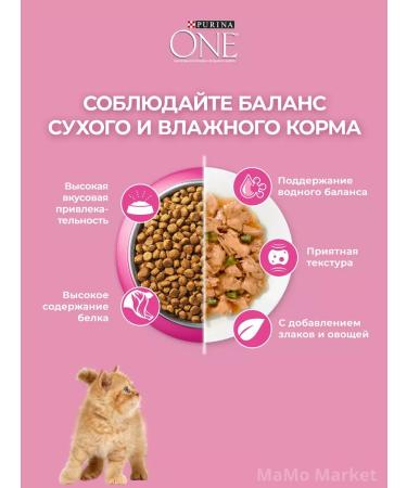 PURINA ONE Kittens of dry kittens with chicken 750 g - Buy Online on GoSupps.com