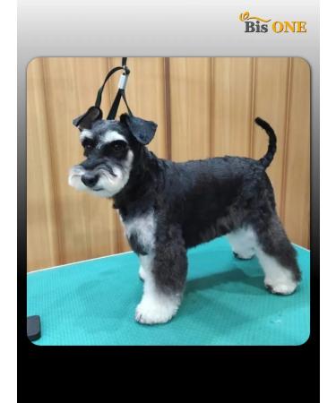 Bis ONE Shampoo hypoallergenic superpretation for dogs cats 1 kg - Buy Online on GoSupps.com