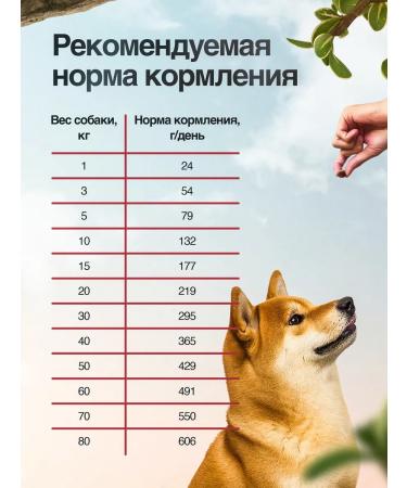 BLITZ Dry food for dogs with salmon 1.8 kg - Buy Online on GoSupps.com