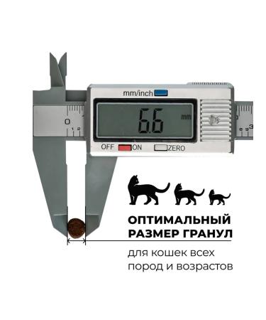 GO'KITCHEN Feed for cats Bezernovaya with salmon and cod 7.26 kg - Buy Online on GoSupps.com
