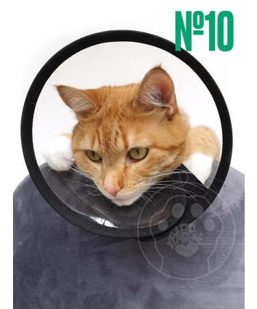 Brave heart Collar for cats - Buy Online on GoSupps.com