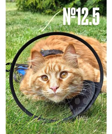 Brave heart Collar for cats - Buy Online on GoSupps.com