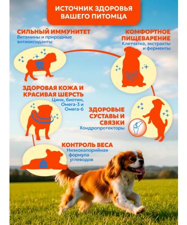 Pet's Brunch Dry food for dogs of small breeds with chicken 1 kg - Buy Online on GoSupps.com