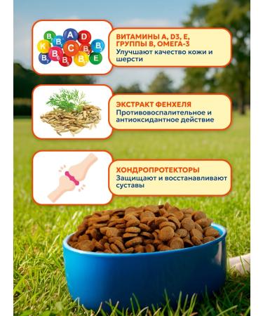 Pet's Brunch Dry food for dogs of small breeds with chicken 1 kg - Buy Online on GoSupps.com