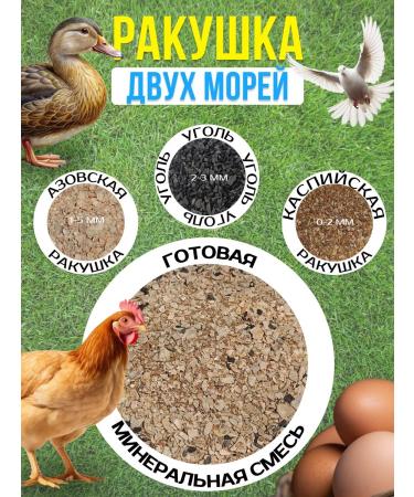 sOfari A shell for chickens - Buy Online on GoSupps.com