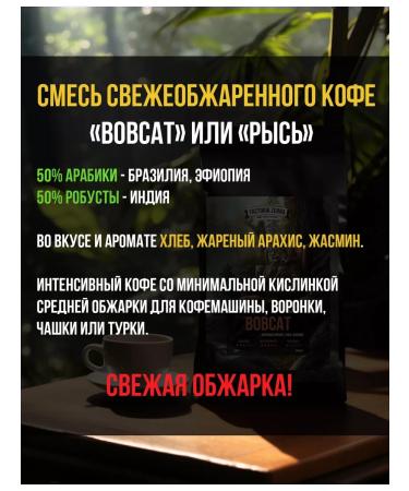 FactoriaZerna Grain coffee fresh roasting Zerna Bobcat 500g - Buy Online on GoSupps.com