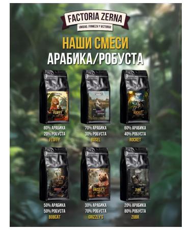 FactoriaZerna Grain coffee fresh roasting Zerna Bobcat 500g - Buy Online on GoSupps.com