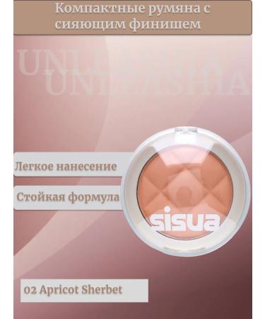 UNLEASHIA Compact blush with a shining finish 02