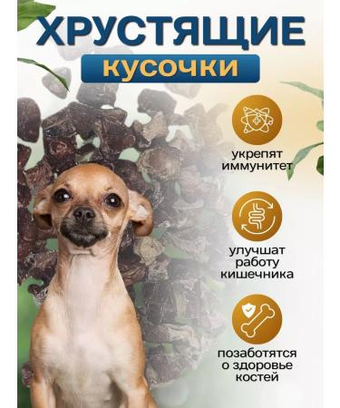 Vyatka meat Natural treat for pets light beef - Buy Online on GoSupps.com
