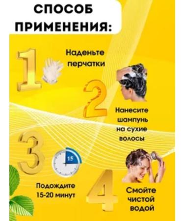 Richenna Paint - shampoo for hair tinted 1 pcs - Buy Online on GoSupps.com