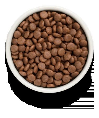 Grandorf fresh Feed for medium and large breeds of salmon fillet with a battery of 10 kg - Buy Online on GoSupps.com