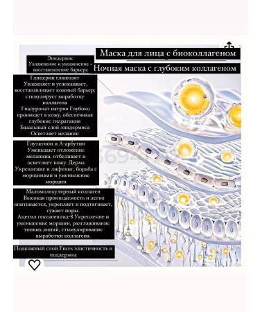 BIODANCE Face mask moisturizing hydrogel night collagen - Buy Online on GoSupps.com