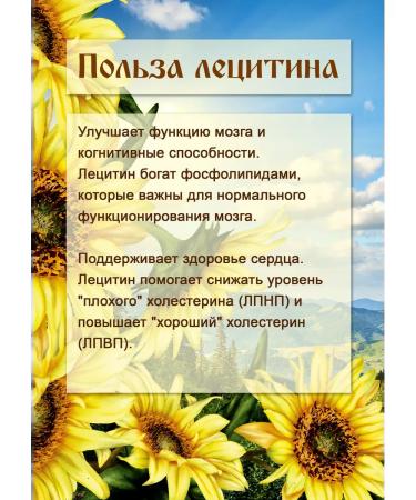 Forest healer Lecithin is sunflower - Buy Online on GoSupps.com