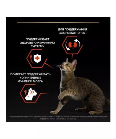 PRO PLAN Dry food for cats Vital Functions Adult with salmon 1.5 kg - Buy Online on GoSupps.com