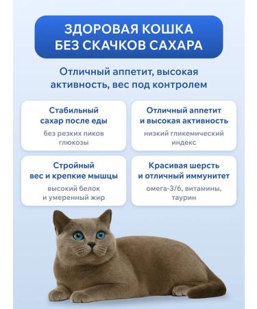 Ortipo Diabetics cat food Diabetic Glucose Control 6 kg - Buy Online on GoSupps.com