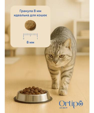 Ortipo Diabetics cat food Diabetic Glucose Control 6 kg - Buy Online on GoSupps.com