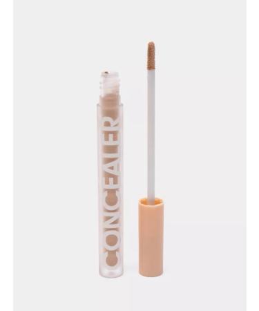 facial concealer Dense creamy face concealer TONE 2