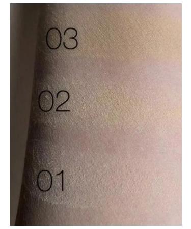 GABRIN Facial powder compact matting 01 - Buy Online on GoSupps.com